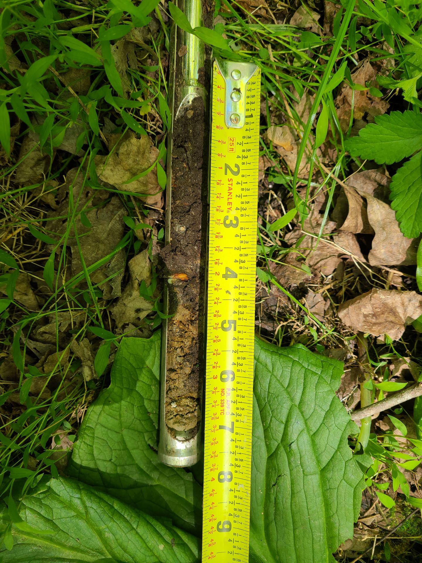 20210512_p3soilmarked